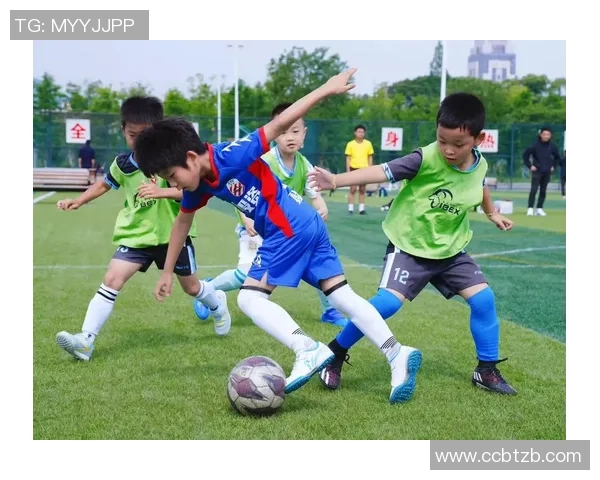 绿茵场上激情与荣耀全面展现世界足球球星独特风采